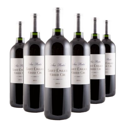 Saint-Emilion Grand Cru Olivier Cazenave - Aux Plantes