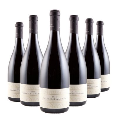 Chambolle-Musigny Domaine Amiot-Servelle - Chambolle-Musigny