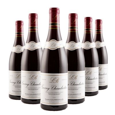 Gevrey-Chambertin Lucien Boillot - Les Evocelles