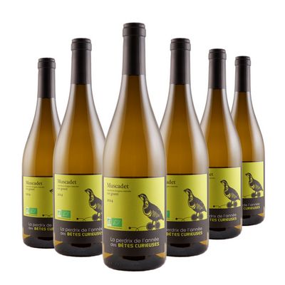 Muscadet La Bête Curieuse - La Perdrix de lAnnée