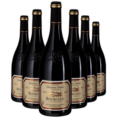 Bourgueil Domaine Caslot