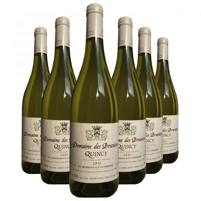 Quincy Domaine des Bruniers